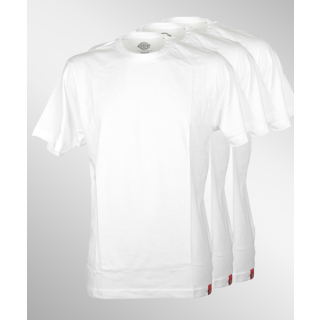 Dickies T-Shirt 3er Pack white