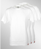 Dickies T-Shirt 3er Pack white